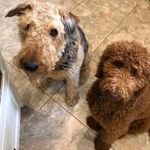 Meet your Posher, Polly